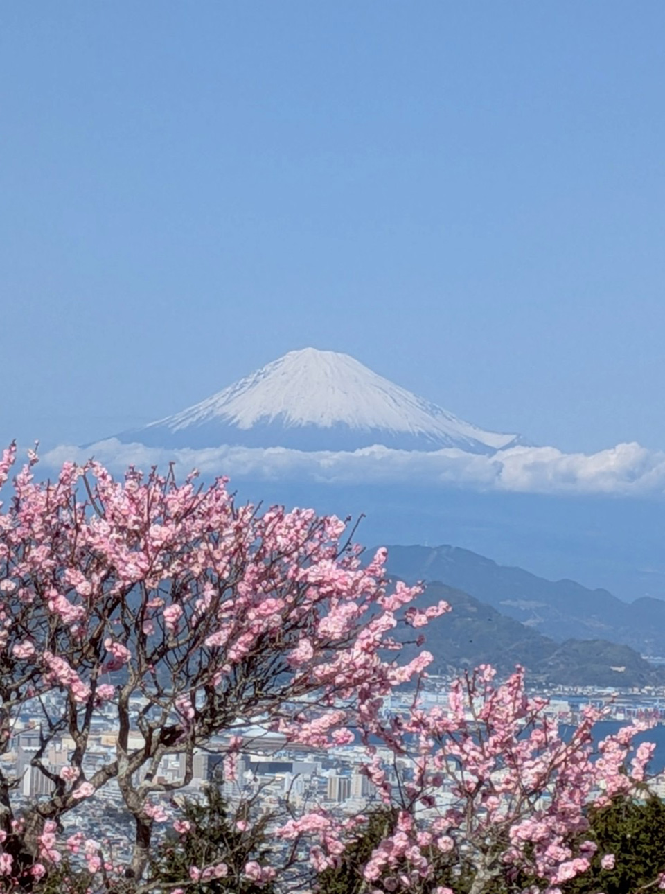 ���͋}���ɋC�����ቺ���āA�ꏊ�ɂ���Ă͐�ɂȂ�Ƃ��������悤�ł�